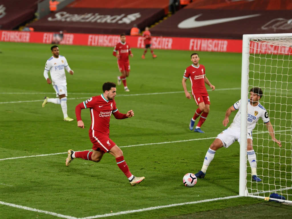 迷對他的態 迷對他的態