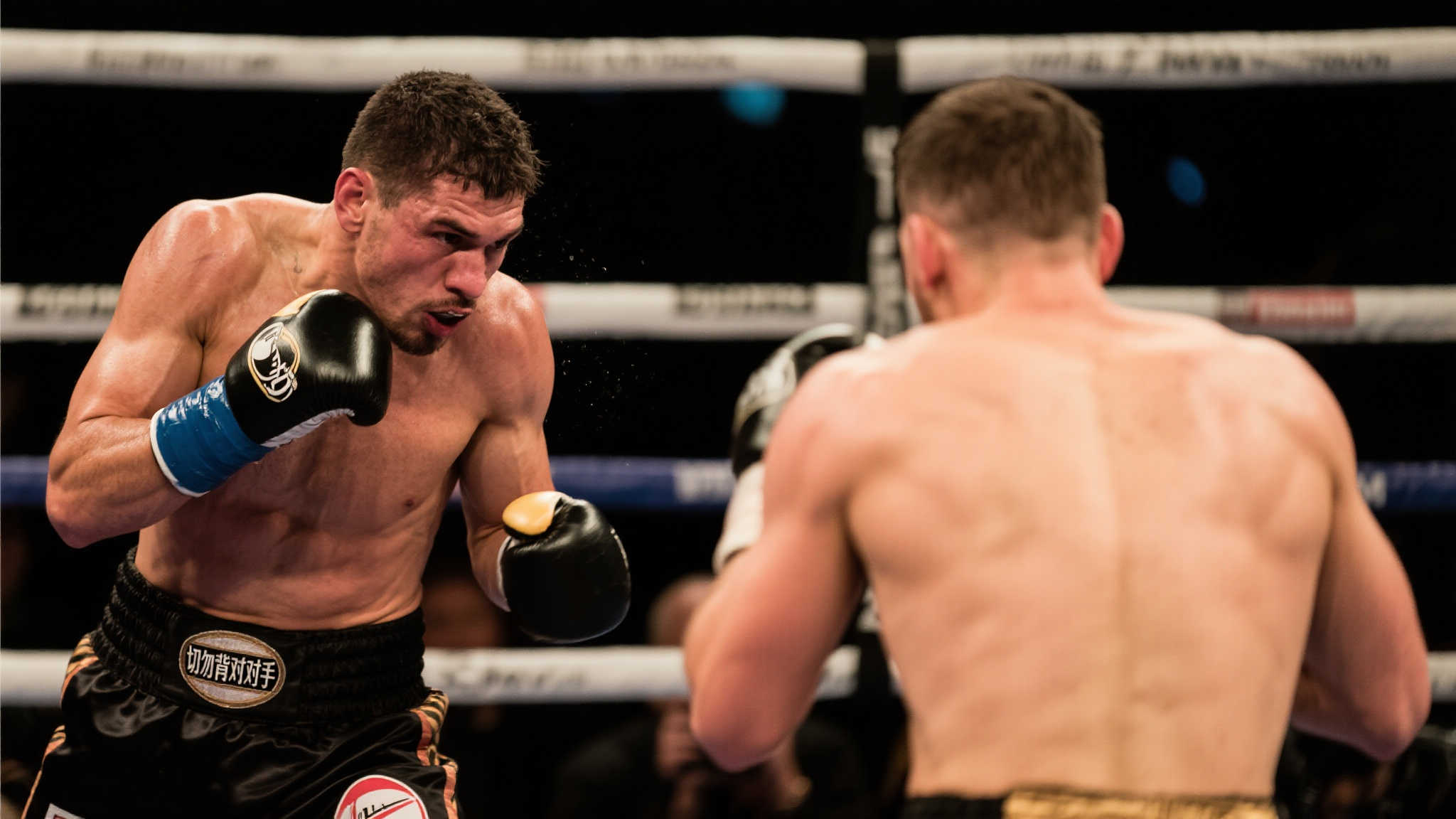 惊人的团队 惊人的团队